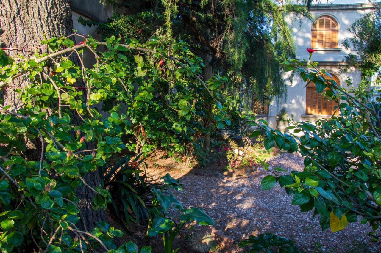 Cane B&B Montevideo Exteriör bild