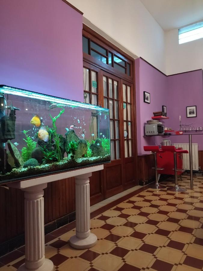 Cane B&B Montevideo Exteriör bild