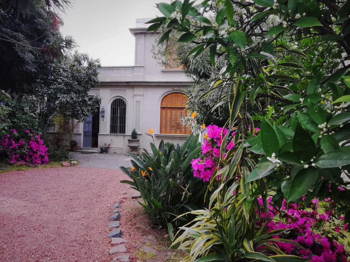 Cane B&B Montevideo Exteriör bild